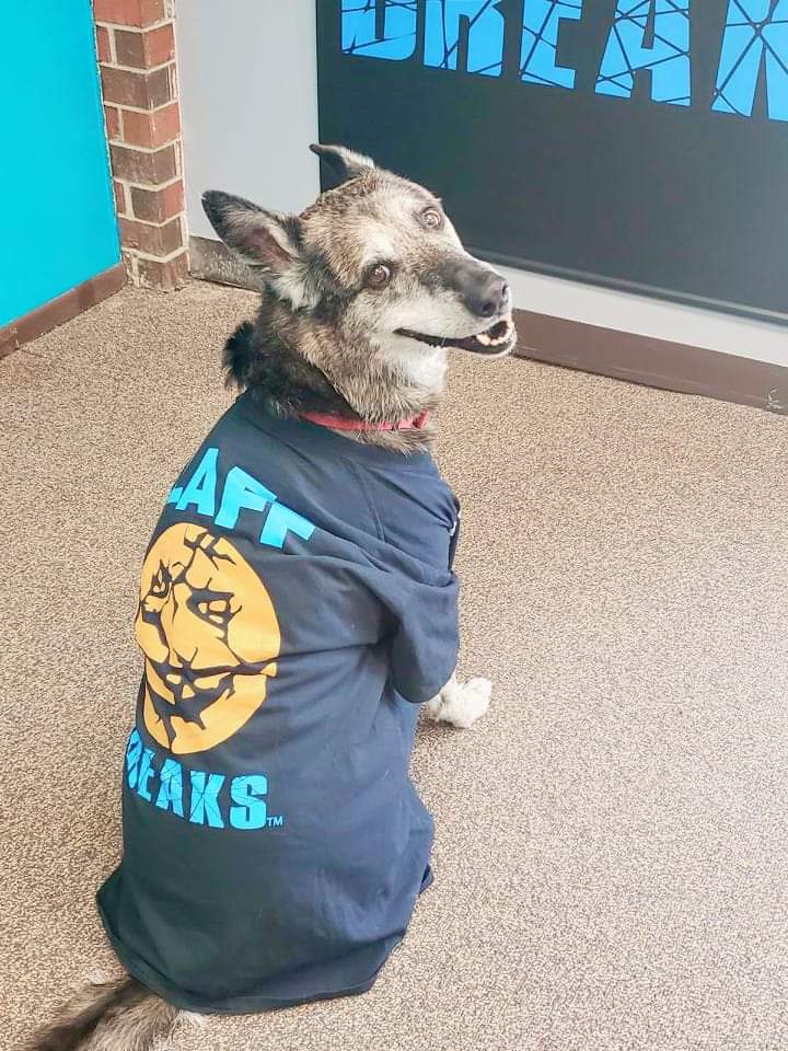 Lazlo Laff Breaks Shirt